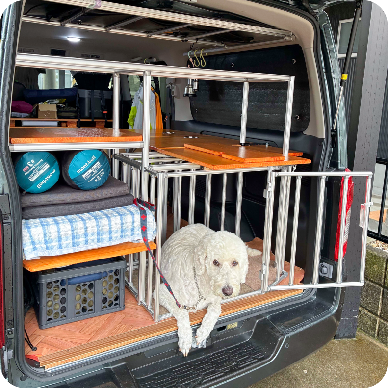 キャラバンで大型犬と車中泊
