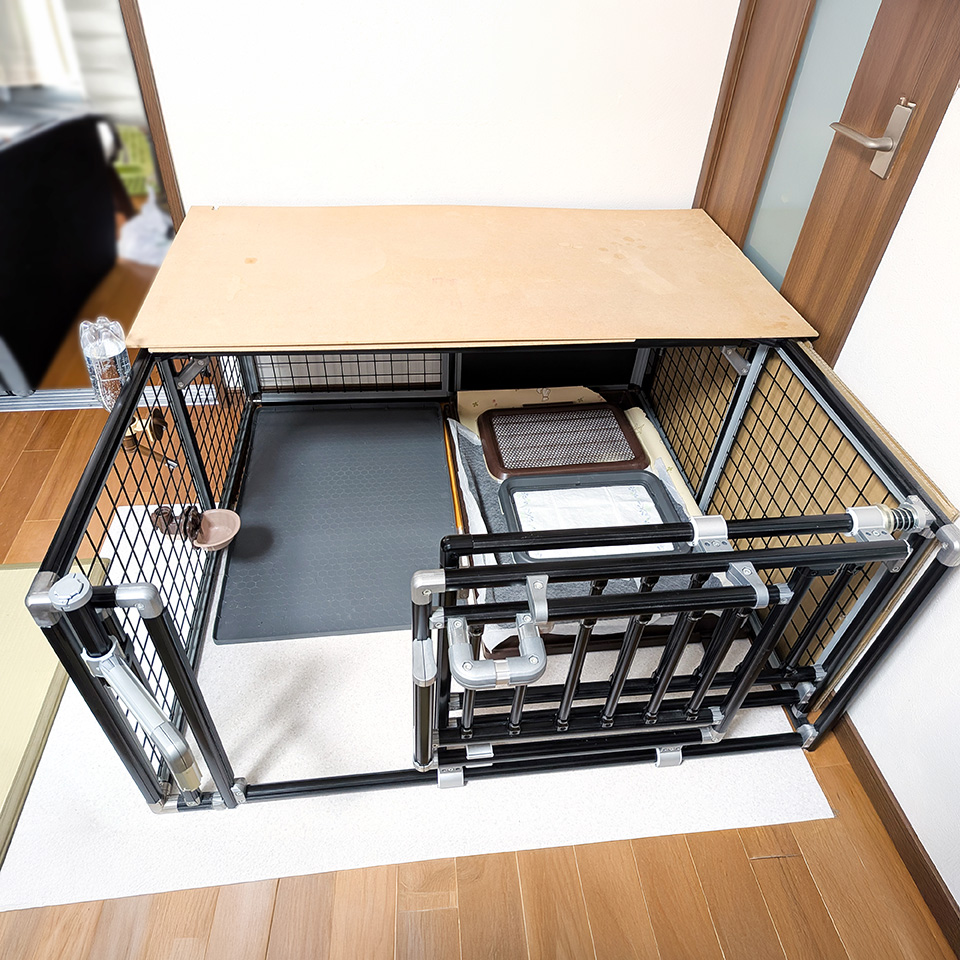 ナイスアイデア賞3