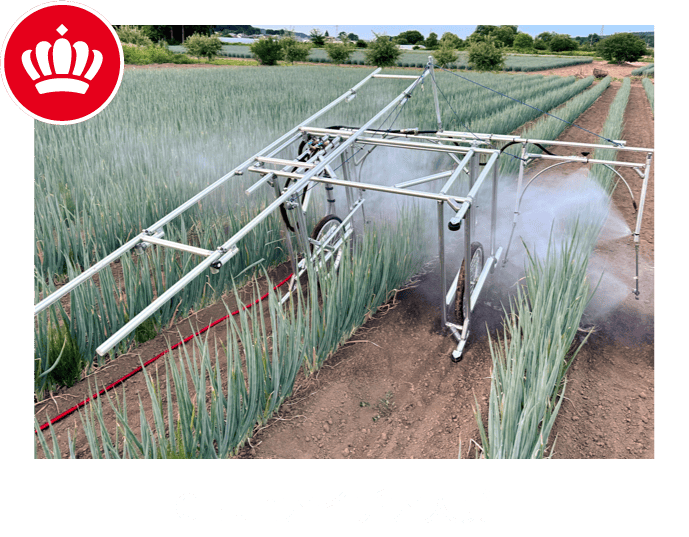 アイデア大賞